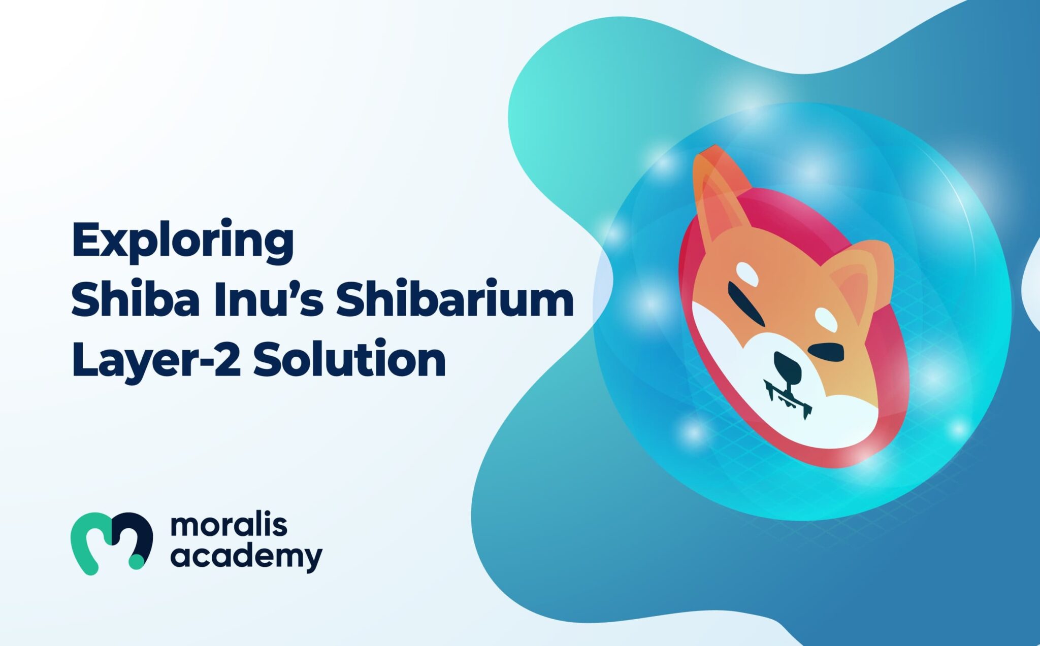 Explained What Is The Shibarium Blockchain Moralis Academy