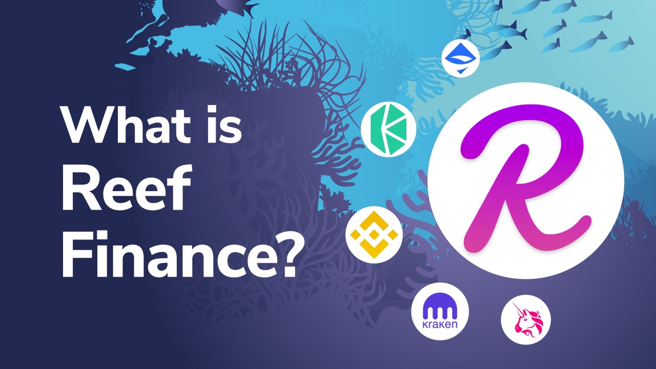 What is Reef Finance and the REEF Token? - Moralis Academy