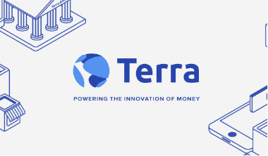 Terra Blockchain Coin