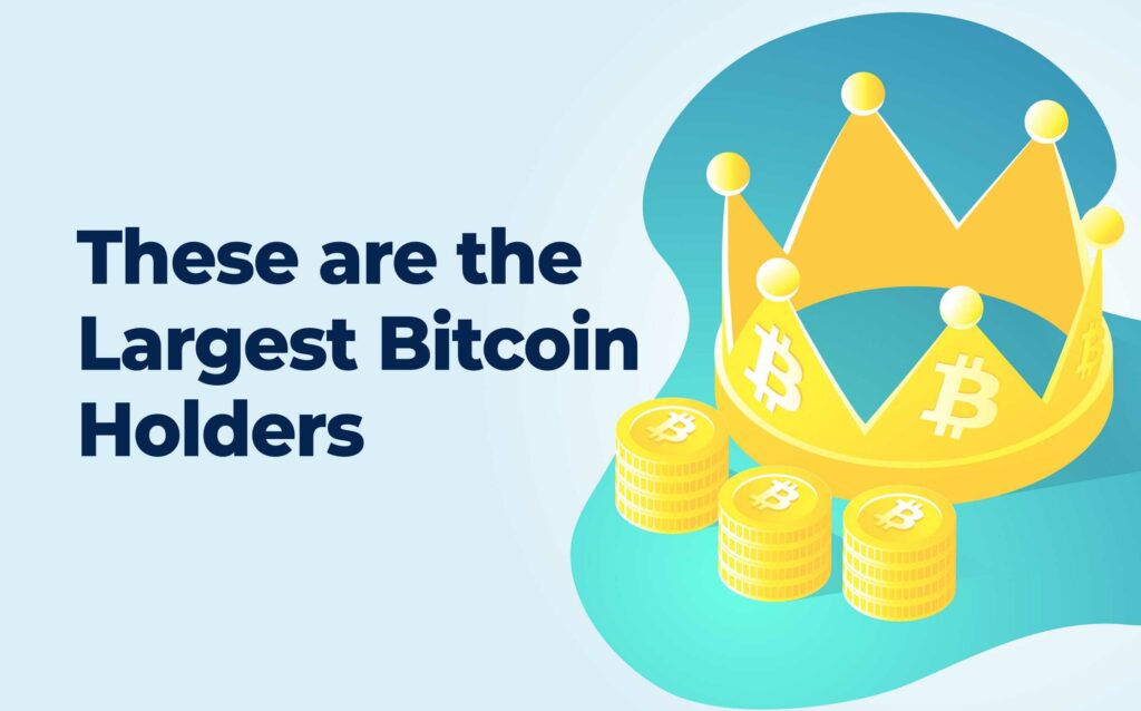 Here’s The Largest Bitcoin Holders - Moralis Academy