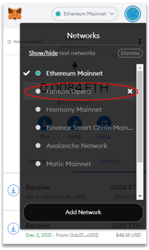 Once you've connected to Fantom in MetaMask - you'll see the "Fantom Opera" network in the drop down.