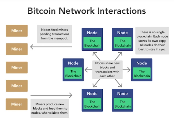 Bitcoin Nodes Miners