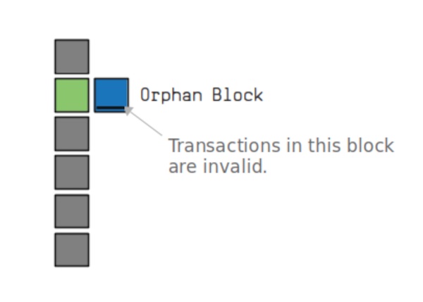 Orphan Block Chain Reorganization