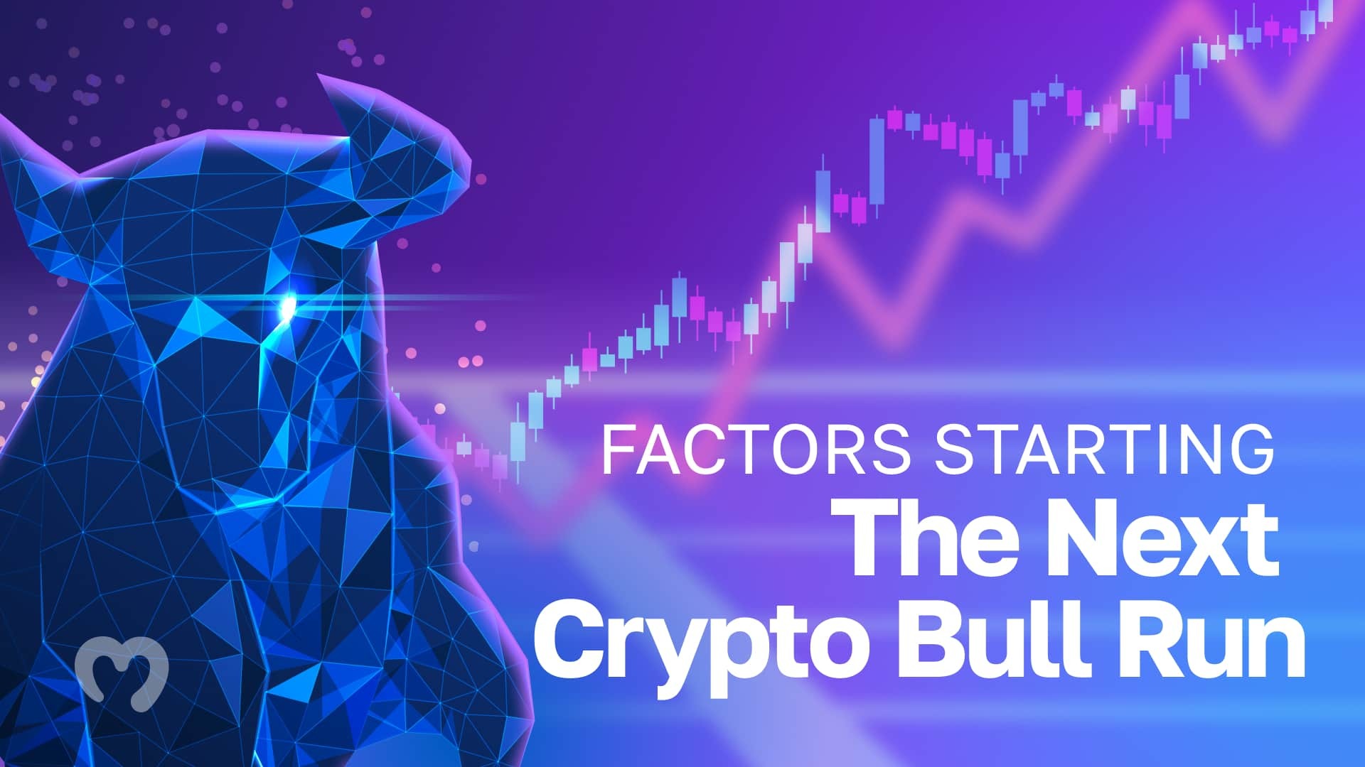 What Will Start the Next Crypto Bull Run?