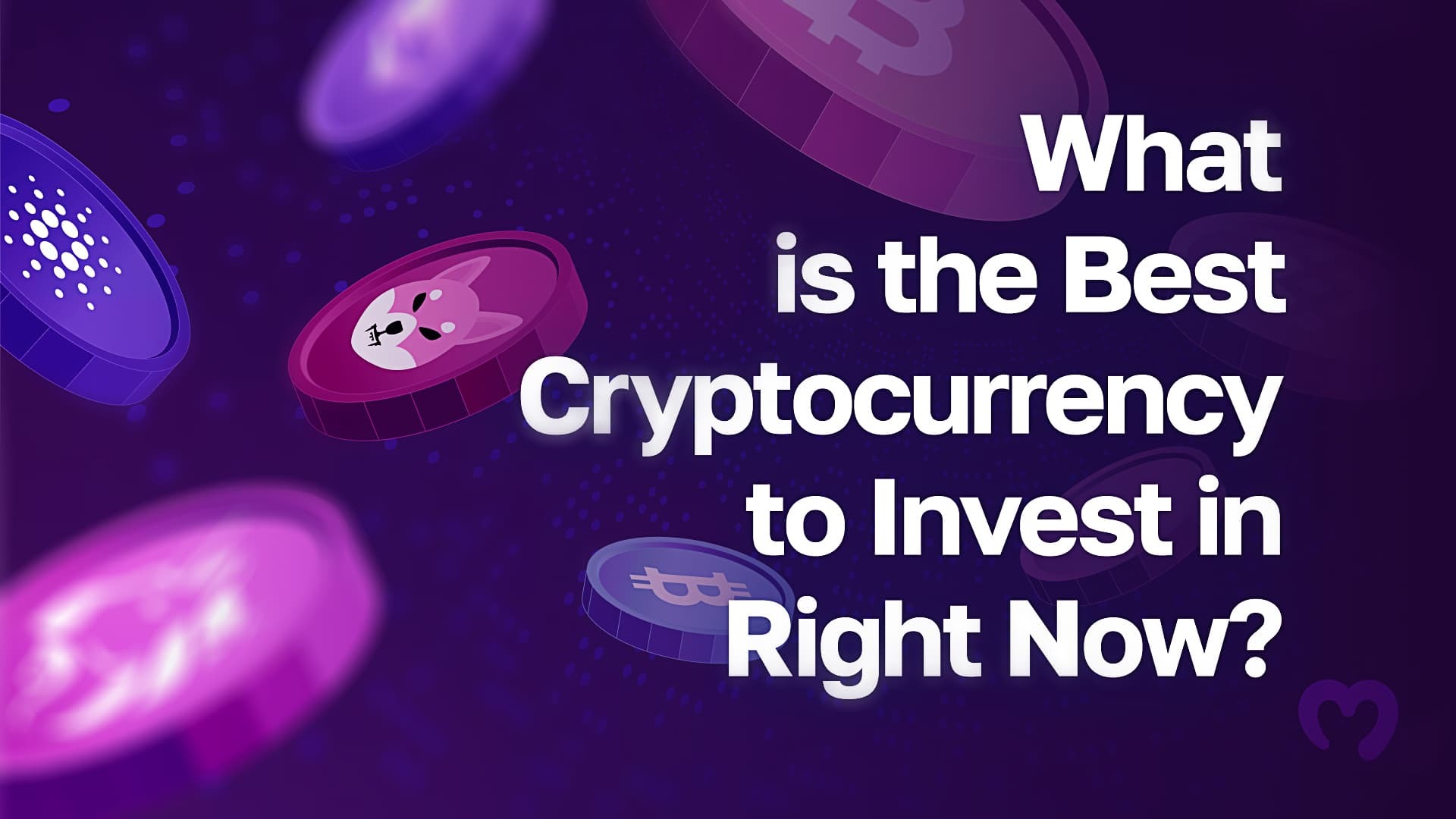 What is the Best Cryptocurrency to Invest in Right Now?