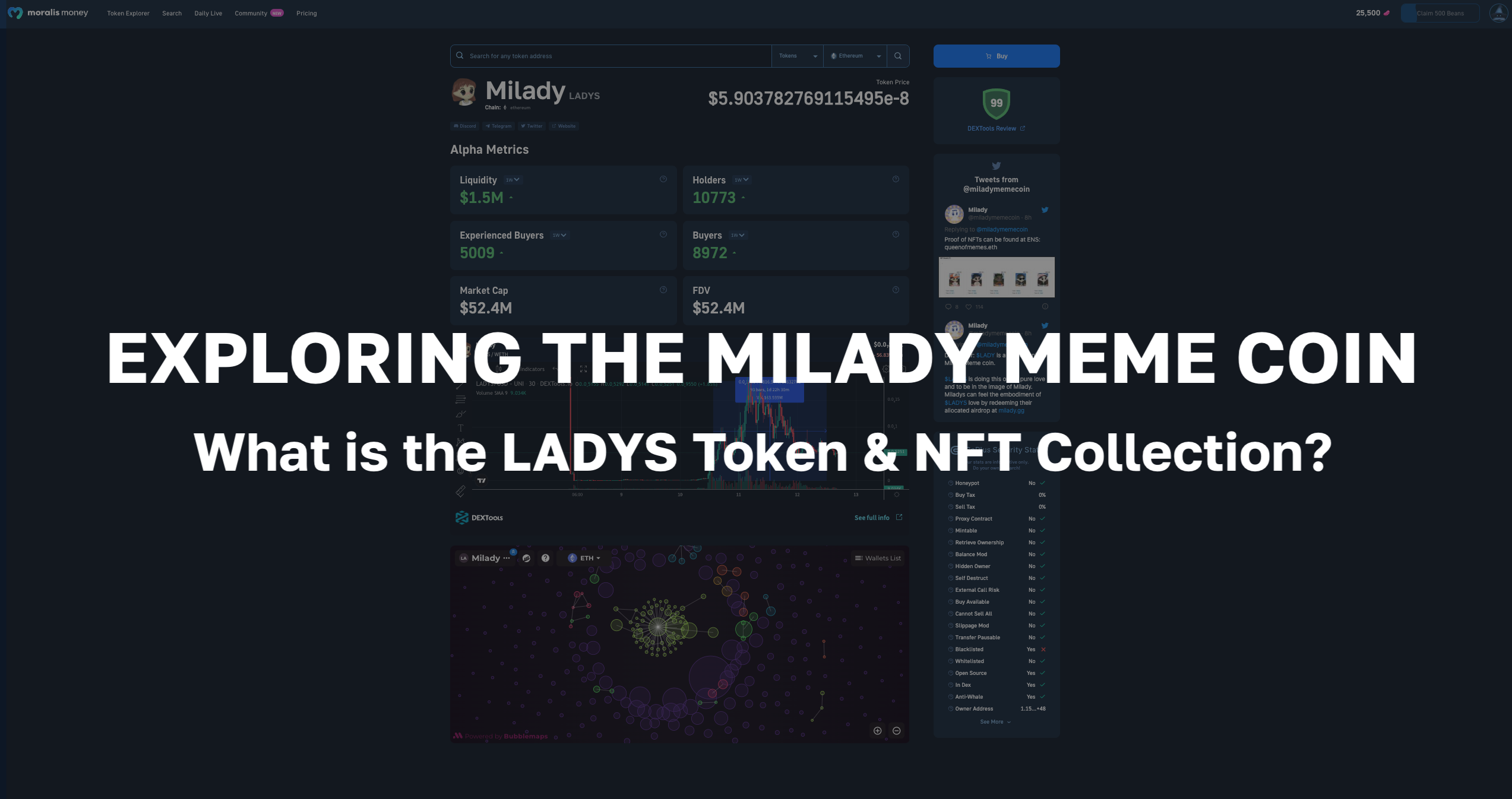 Exploring the Milady Meme Coin - What is the LADYS Token and NFT Collection?