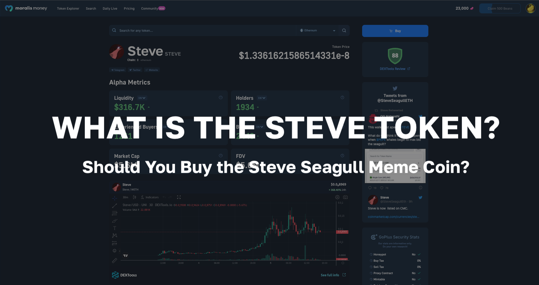 What is the STEVE Token? Should you buy the Steve Seagull meme coin?