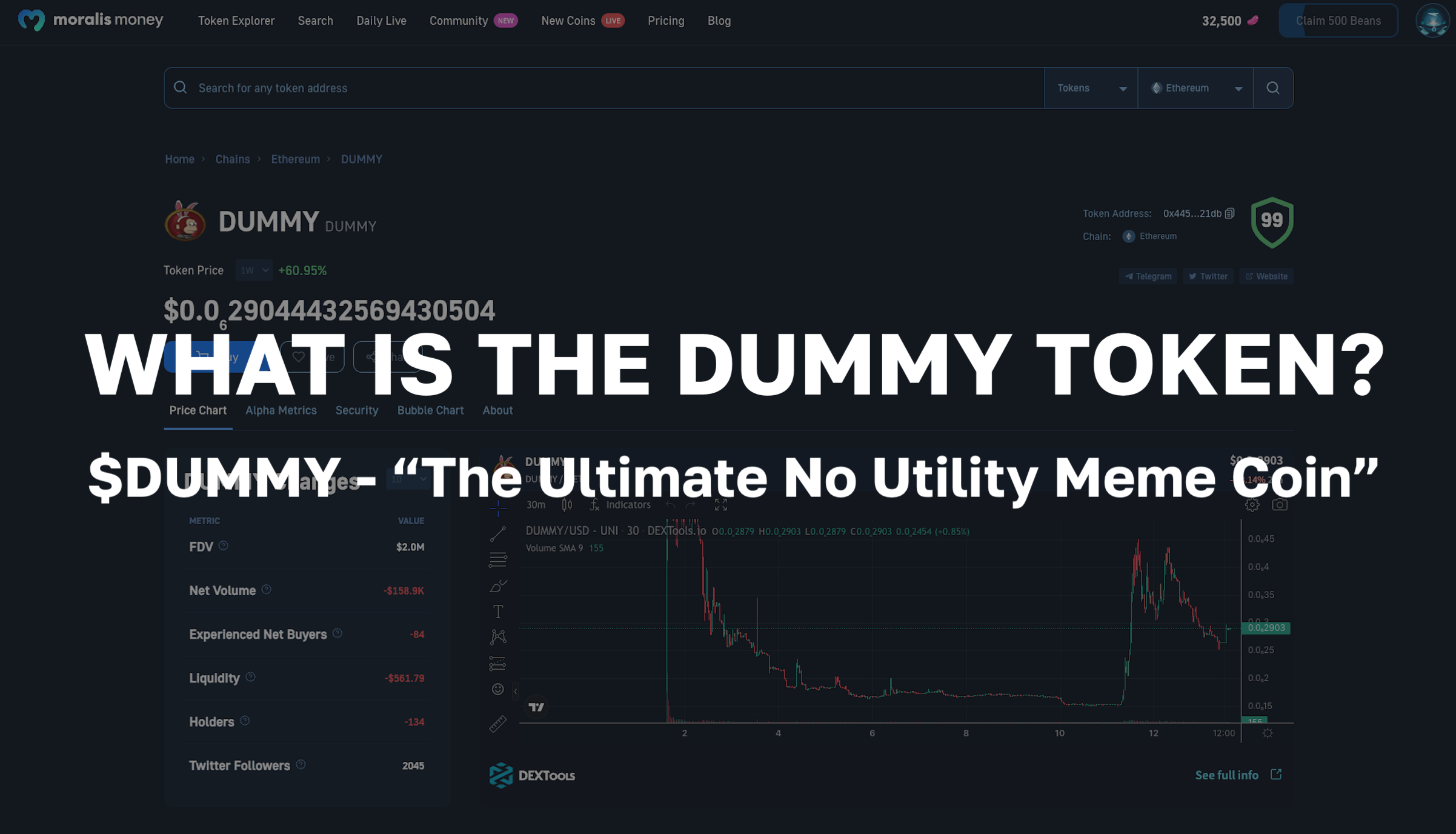 What is $DUMMY? Exploring the DUMMY Token - The Ultimate No Utlility Meme Coin