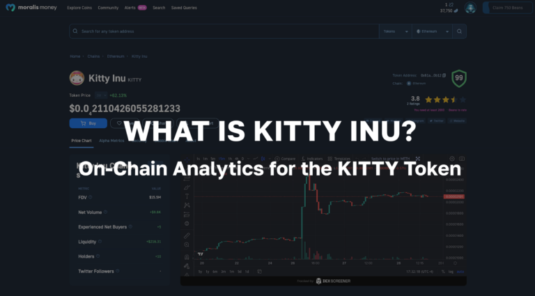 What is Kitty Inu? On-Chain Analytics for the KITTY Token