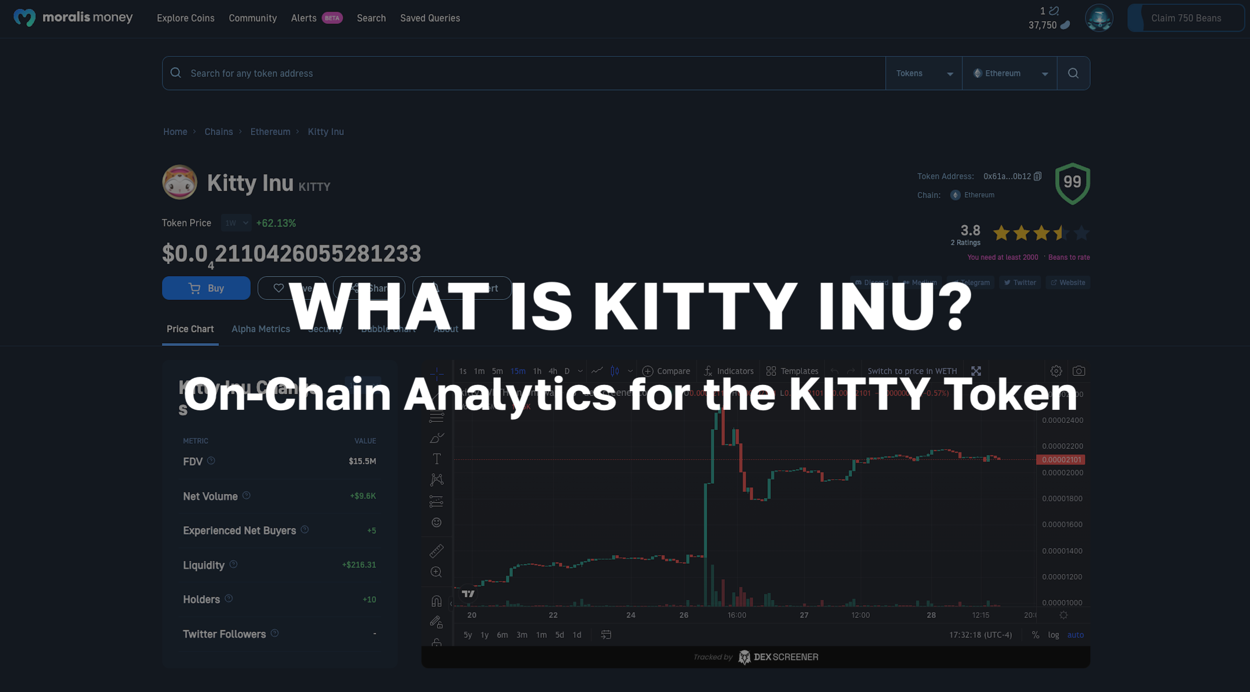 What is Kitty Inu? On-Chain Analytics for the KITTY Token