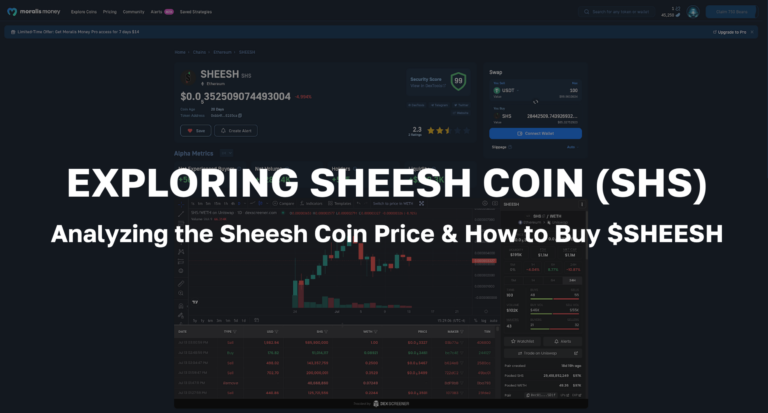 Analyzing the Sheesh Coin (SHS) Price and How to Buy $SHEESH