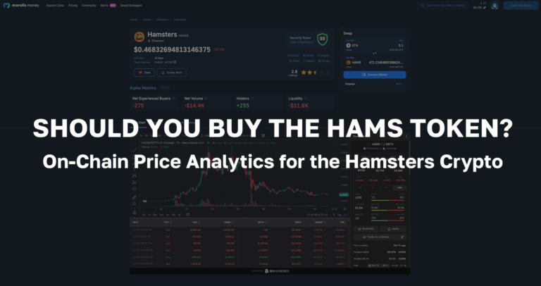Should-You-Buy-HAMS-Token-On-Chain-Price-Analytics-for-the-Hamsters-Crypto