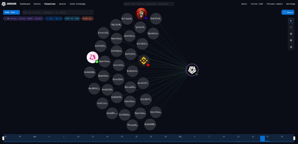 What is Arkham Intelligence and the ARKM Crypto Token-Visualizer-example-results