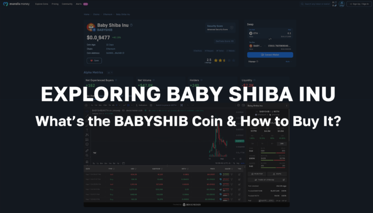 What is the Baby Shiba Inu Coin, and How Can You Buy BABYSHIB?